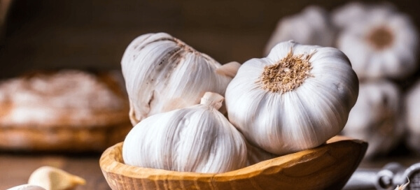 Tỏi vừa là gia vị vừa là vị thuốc trị cảm cúm trong nhiều thế kỷ qua