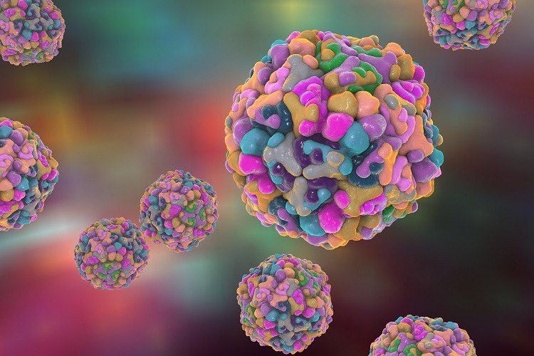 virus gây bệnh tay chân miệng