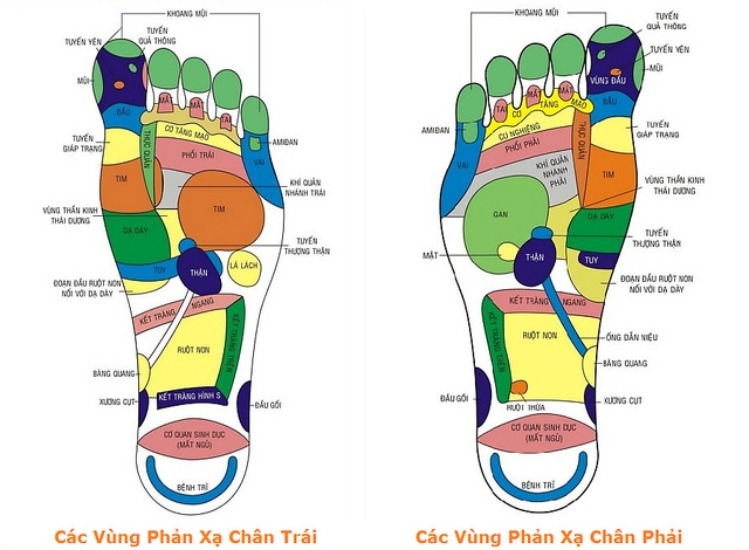 giảm đau nhờ bấm huyệt