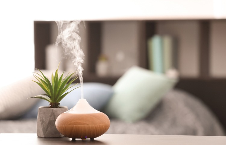 Tinh dầu tràm, oải hương, long não,… rất tốt trong việc phòng và điều trị cảm cúm