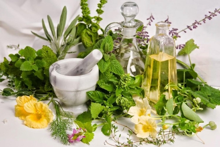 Thảo dược trị cảm cúm
