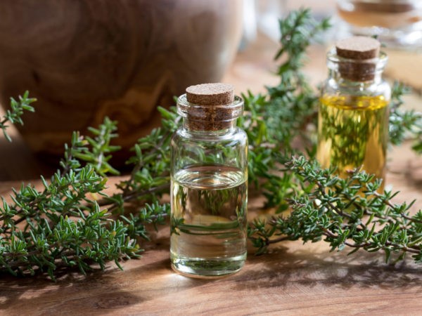 Tinh dầu cỏ xạ hương cũng là một nguyên liệu để điều trị đau răng
