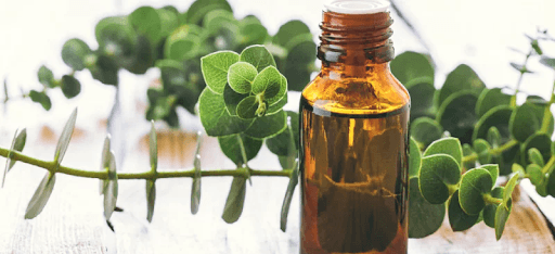 Hương liệu giúp giảm đau nhanh chóng