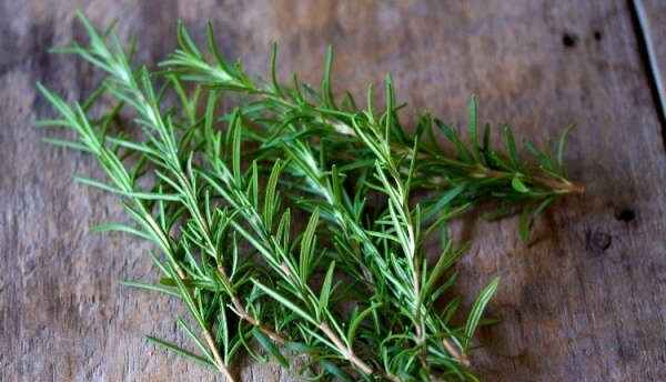tinh dầu hương thảo