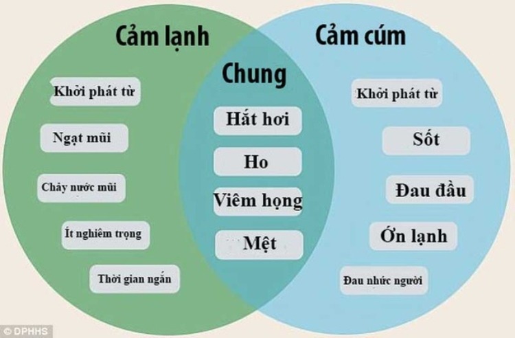 Điểm giống và khác nhau của cảm lạnh và cảm cúm