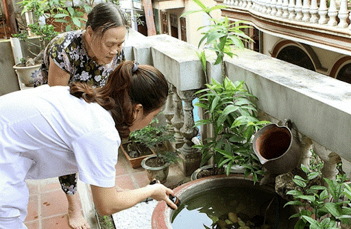 Thu gom vật dụng phế thải xung quanh nhà như chai lọ vỡ, vỏ dừa, …, dọn vệ sinh môi trường, lật úp các dụng cụ chức nước khi không dùng đến.