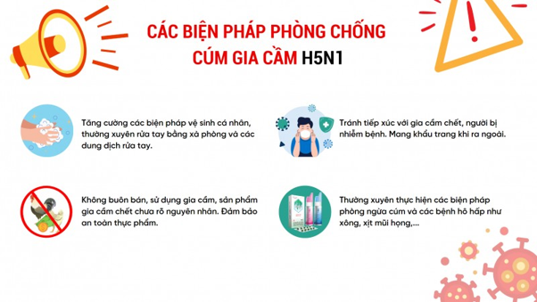Cách phòng chống Cúm A H5N1