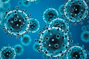 Virus Cúm A có lây không