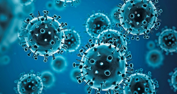 Virus Cúm A có lây không