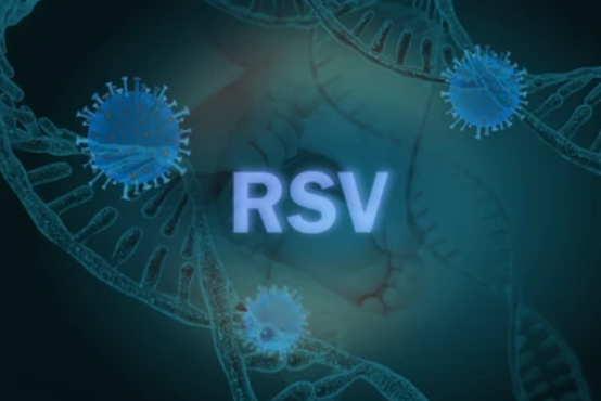 Virus rhinovirus là nguyên nhân gây nên tình trạng viêm họng