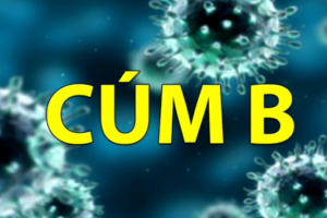 Thông tin chung về cúm B
