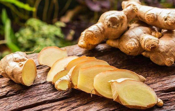 Gừng là một liệu pháp thiên nhiên phù hợp
