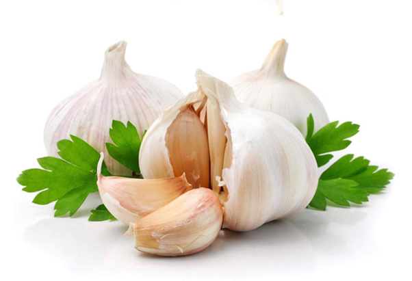Tỏi dù hơi hăng nhưng trị viêm phế quản vô cùng an toàn