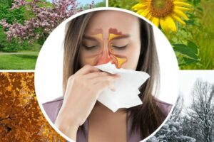 Nguyên nhân gây nên viêm mũi dị ứng thời tiết