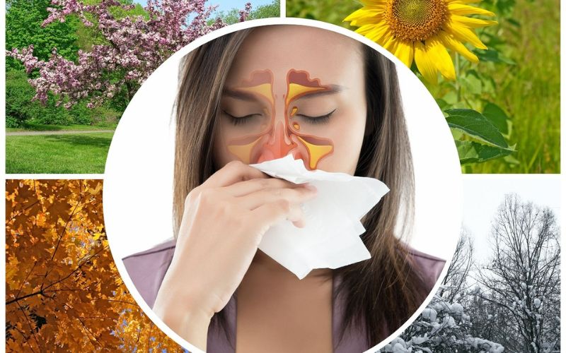 Nguyên nhân gây viêm mũi dị ứng thời tiết