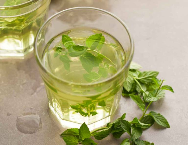 Bạc hà trị viêm họng tại nhà