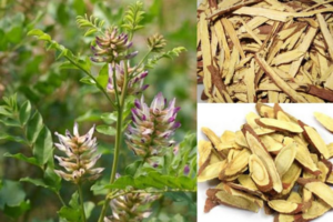 Mẹo dân gian chữa sốt phát ban cho trẻ