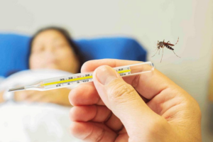Sốt xuất huyết khi nào khỏi