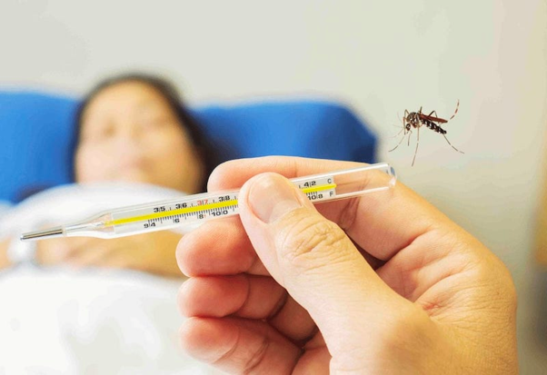 Các biểu hiện của sốt xuất huyết