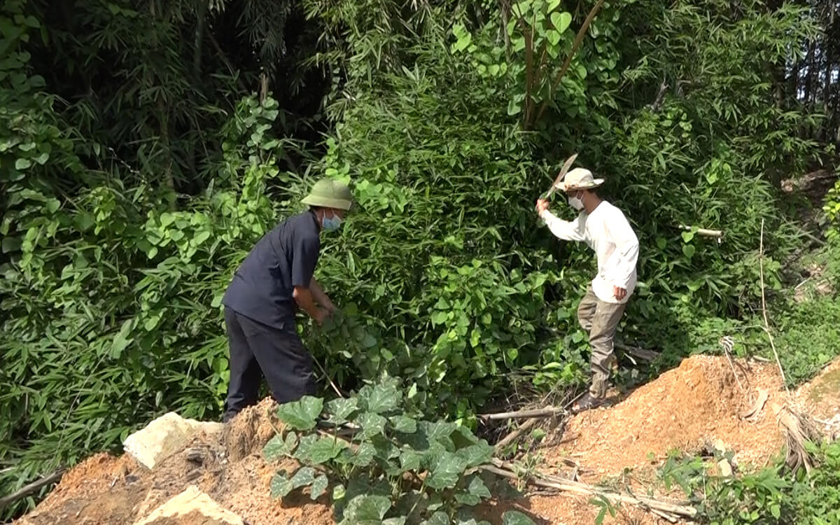 Một số biện pháp phòng chống bệnh sốt mò 