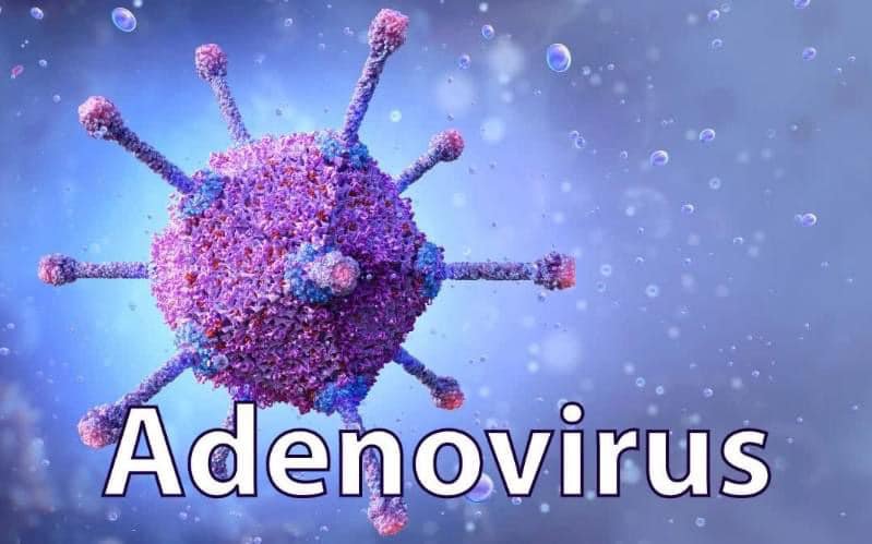 Tìm hiểu về sốt virus adeno